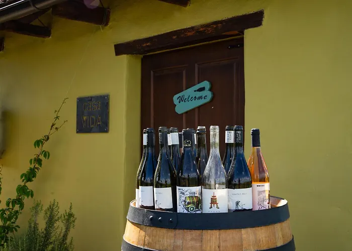 Villa Casa Vida Nestin