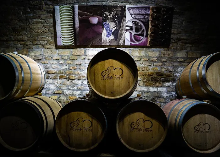 Casa Vida Вилла