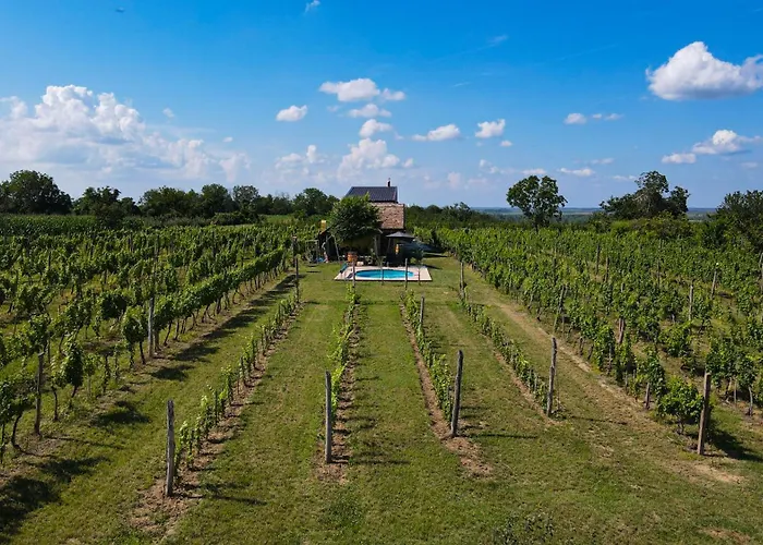 Вилла Casa Vida Nestin